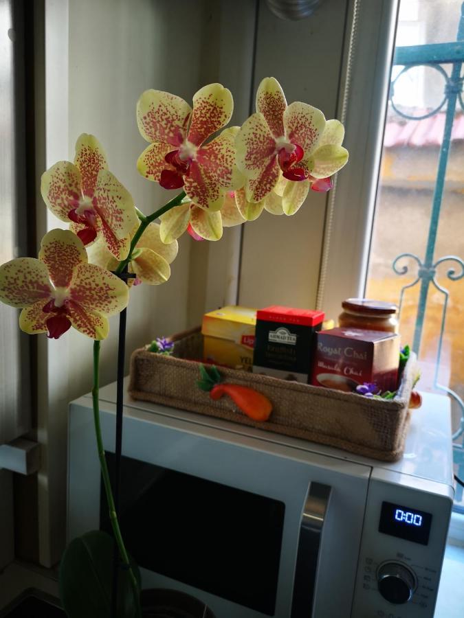 Central Park Garden Studio 普罗夫迪夫 外观 照片